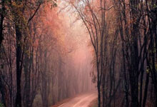 PG电子体育：[CBA]约翰逊分球侧翼 周鹏空位三分稳稳命中.