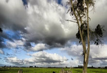 PG电子体育：西塞：曾婉拒皇马因已承诺红军；自豪从两度重伤中恢复.