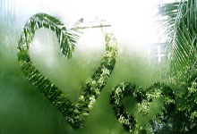 争议点球未判 海港0比1憾负水手 遭遇亚冠3连败.