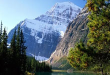 亚冠-C罗点射杜兰双响 利雅得胜利总分3-0晋级八强.