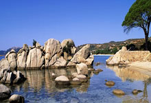 PG电子体育：NBA：凯尔特人队客场111-101猛龙队.